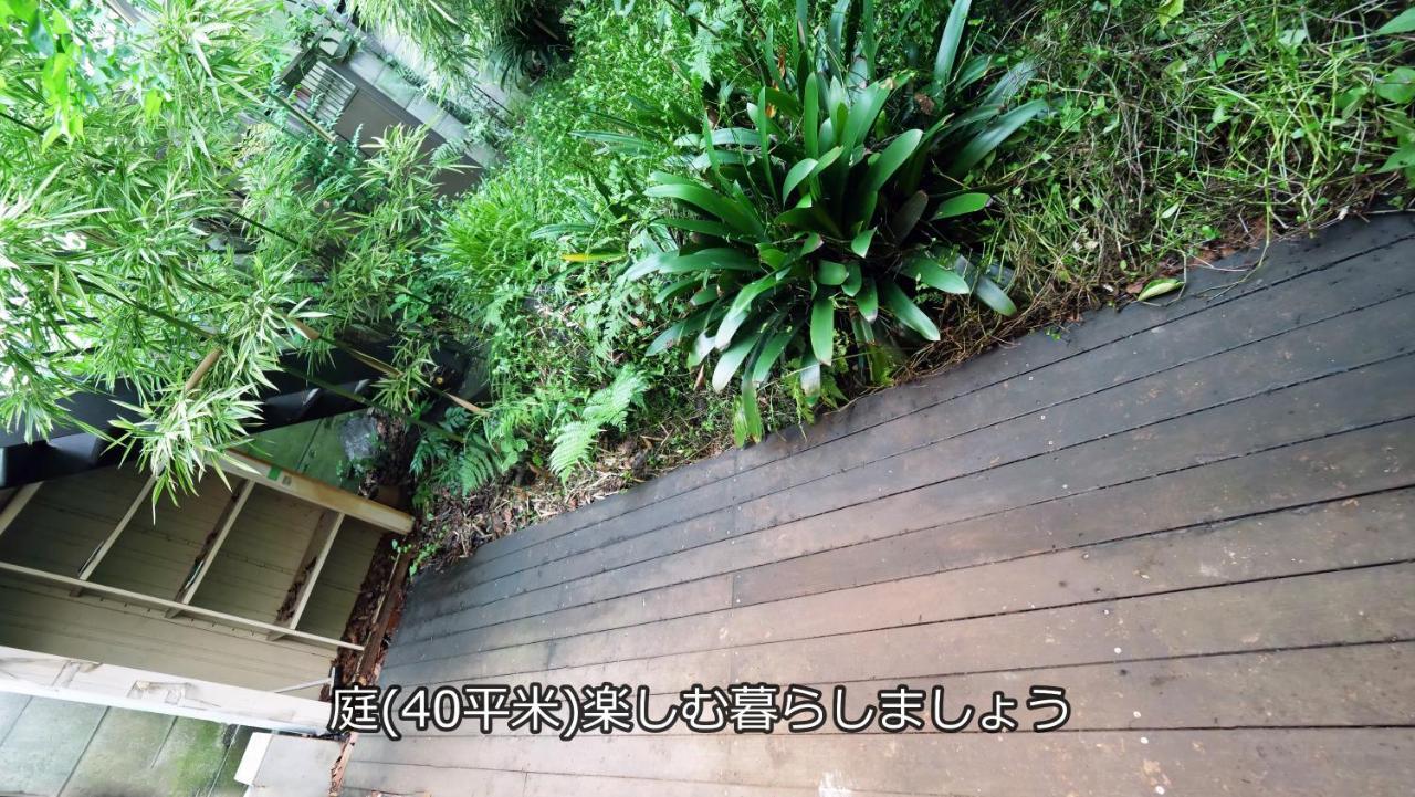 7ppl Shinjuku Gyoen丶 National Garden丶 Kabukicho丶 Shinjuku Station丶 Golden Gai丶 Metropolitan Government Building Yos4 * Tóquio